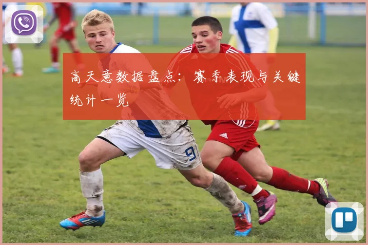 高天意数据盘点：赛季表现与关键统计一览