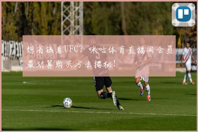 想省钱看UFC？咪咕体育直播间会员最划算购买方法揭秘！