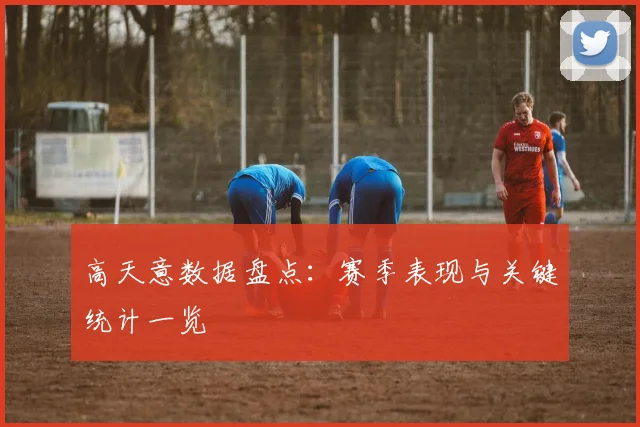 高天意数据盘点：赛季表现与关键统计一览