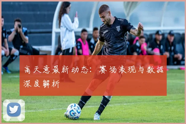 高天意最新动态:赛场表现与数据深度解析