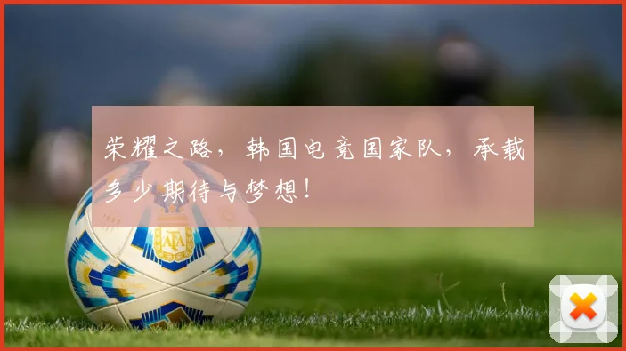 荣耀之路,韩国电竞国家队,承载多少期待与梦想!
